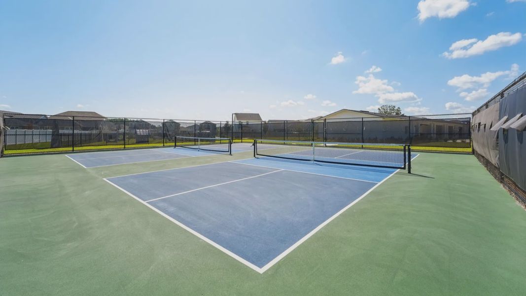The Pickleball Courts