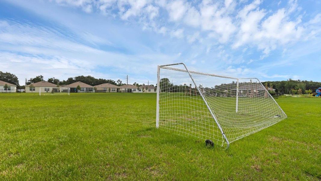 Image 55 of the Magnolia Pointe community in Umatilla, FL.