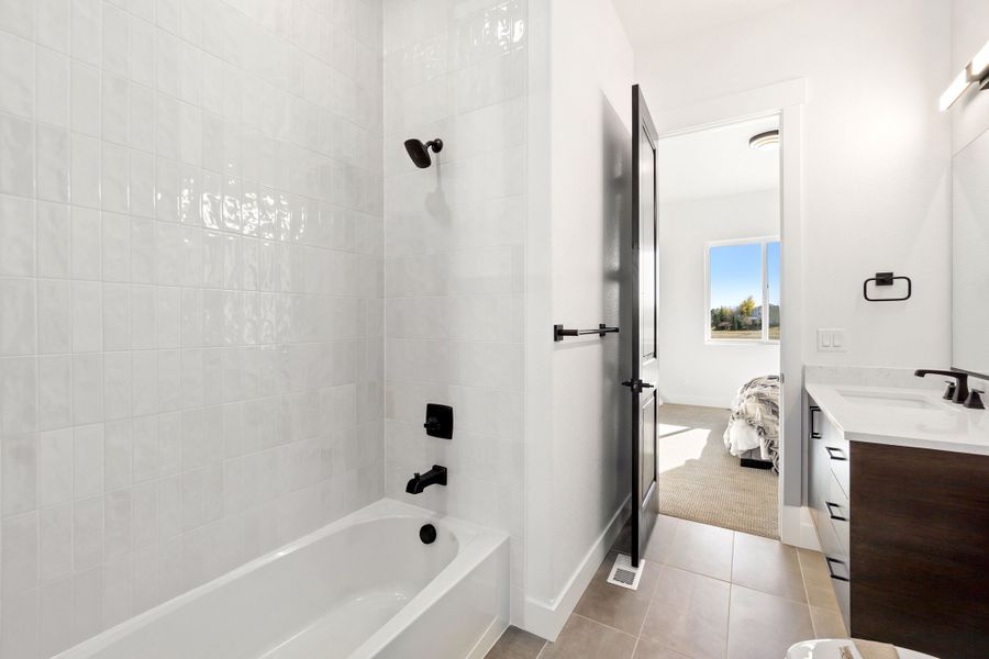 The Aurora Highlands,80019