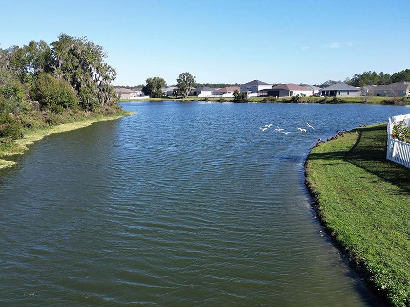 Enjoy peaceful views from your backyard.