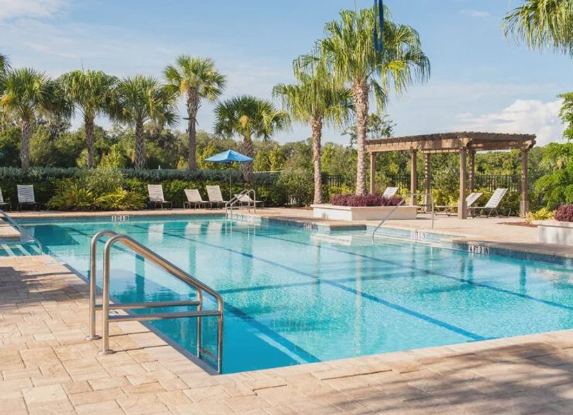 Community amenity available to residents of Waterset in Apollo Beach (Image 40). Community amenity available to residents of Waterset in Apollo Beach (Image 40).