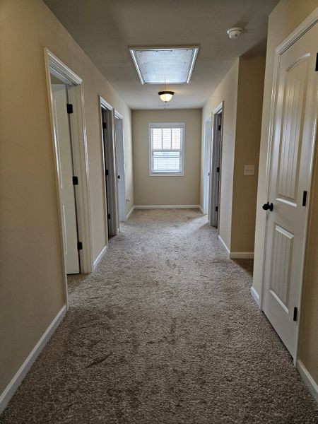 A cozy hallway with soft carpeting, neutral walls, and natural light streaming through a window at the end. A cozy hallway with soft carpeting, neutral walls, and natural light streaming through a window at the end.