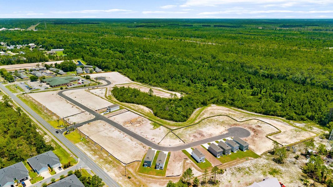 Site preparation and early development at Salt Pines in Port Saint Joe, FL (Image 18). Site preparation and early development at Salt Pines in Port Saint Joe, FL (Image 18).