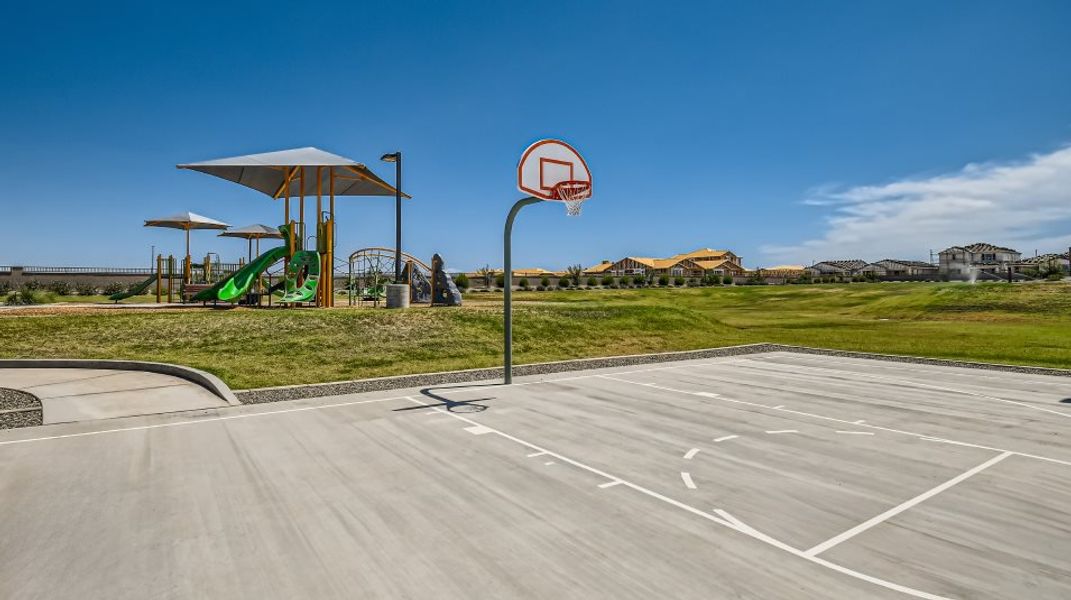 Basketball court