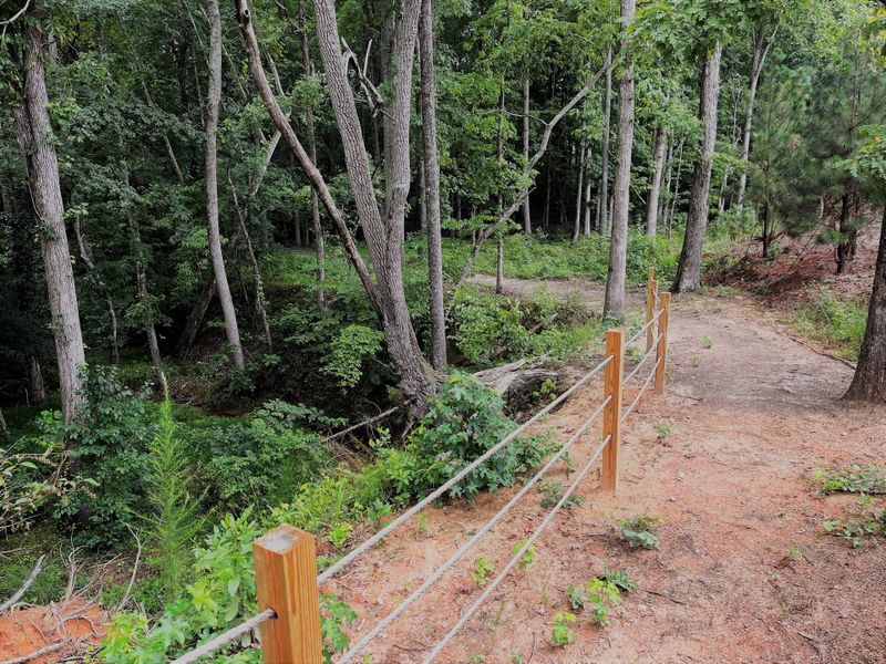 Wooded trails flow through the community connecting the Pickleball Center down to the lake.