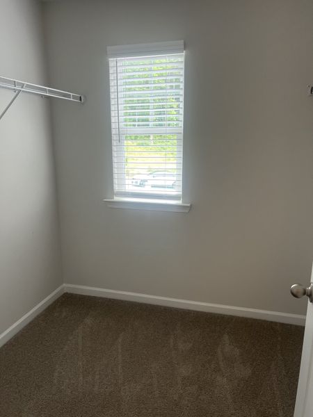 A cozy closet space with soft carpeting, a white shelf, and a window bringing in natural light. A cozy closet space with soft carpeting, a white shelf, and a window bringing in natural light.