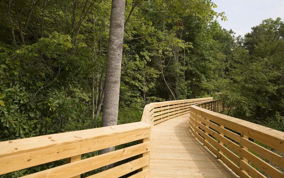 Natural surroundings and green spaces near Cottages at Wendell Falls in Wendell, NC (Image 3).