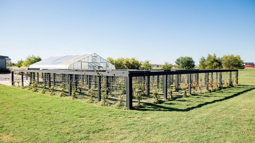 Community amenity available to residents of Harvest Green in Richmond (Image 17).