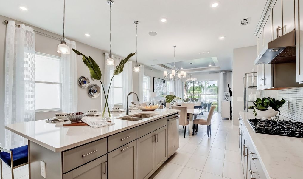 Image 4 of the San Sebastian Reserve community in Apopka, FL.