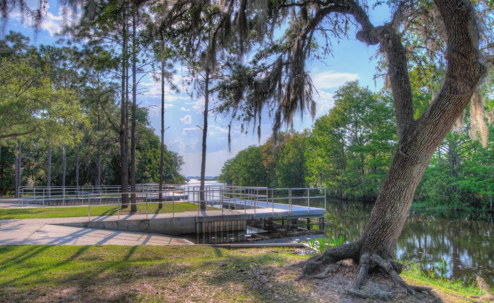 Natural surroundings and green spaces near Live Oak Estates in Orlando, FL (Image 7). Natural surroundings and green spaces near Live Oak Estates in Orlando, FL (Image 7).