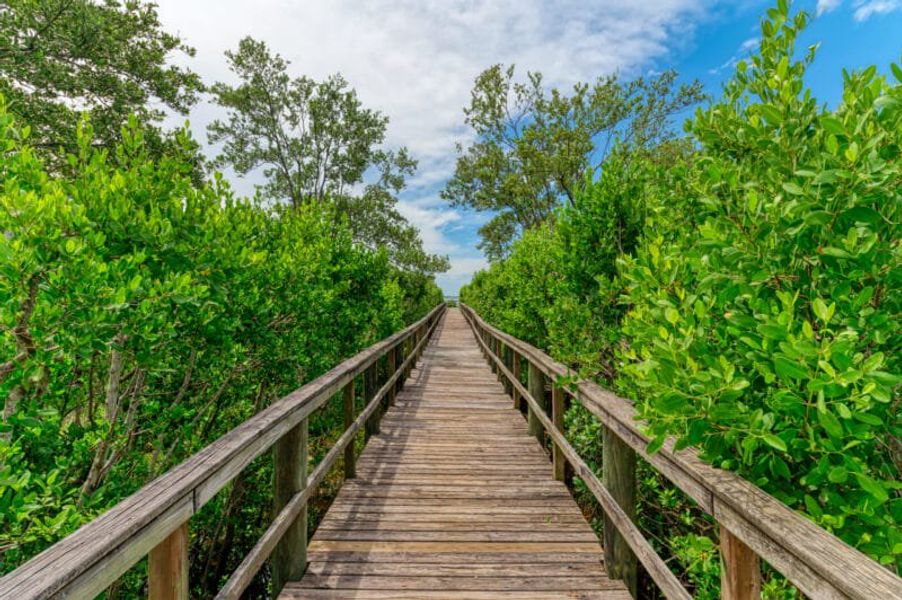 Natural surroundings and green spaces near Legends Bay in Bradenton, FL (Image 152). Natural surroundings and green spaces near Legends Bay in Bradenton, FL (Image 152).