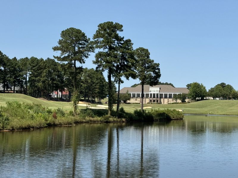 Natural surroundings and green spaces near Birdhaven in Lexington, SC (Image 5).