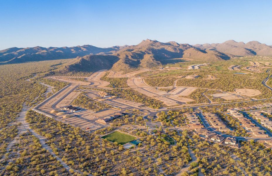 New Homes at Saguaro Reserve