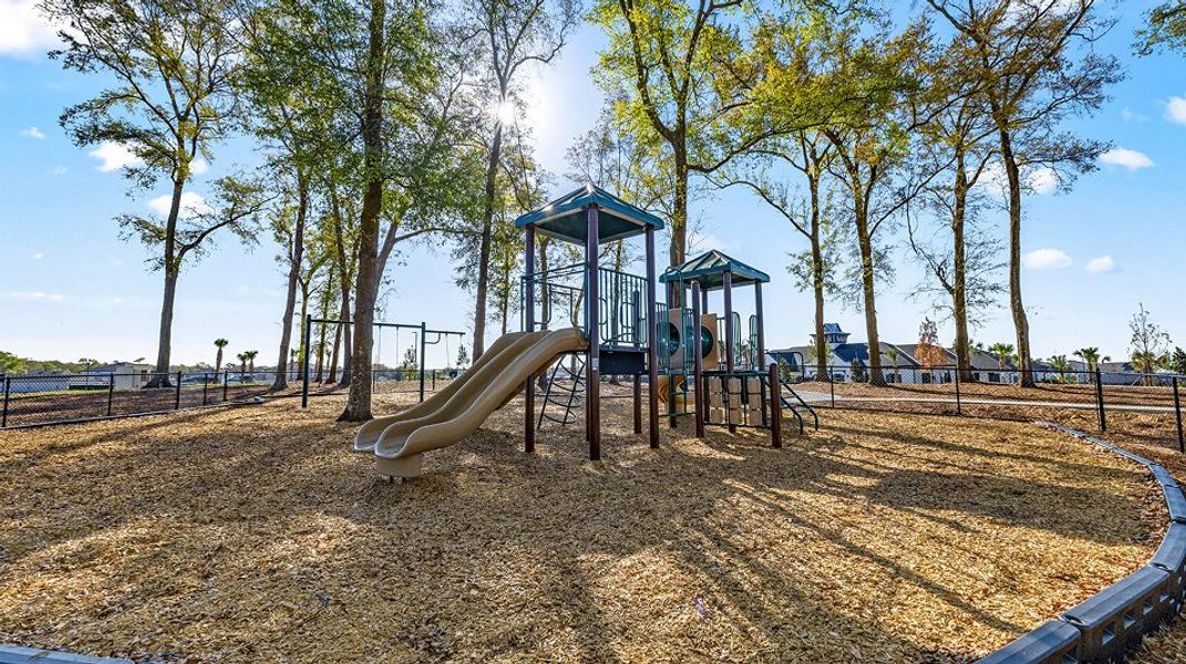 Marion Ranch Amenity  Playground 2of2