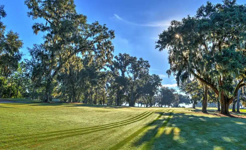 Natural surroundings and green spaces near Build On Your Land in Ocala, FL (Image 9).