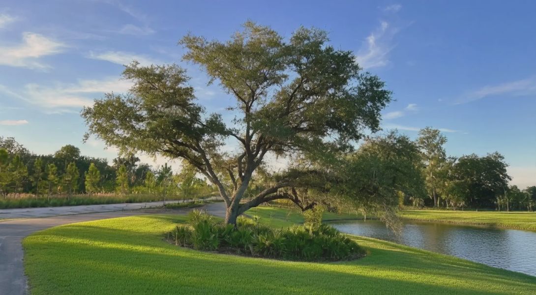 Natural surroundings and green spaces near Rye Ranch in Parrish, FL (Image 23).