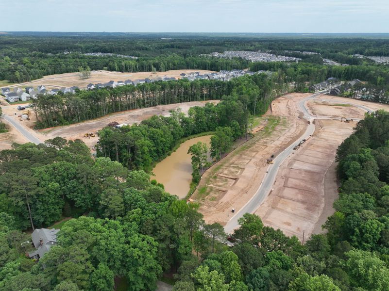 Streetscape Streetscape