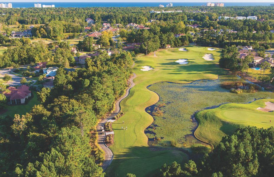 Play a Round of Golf