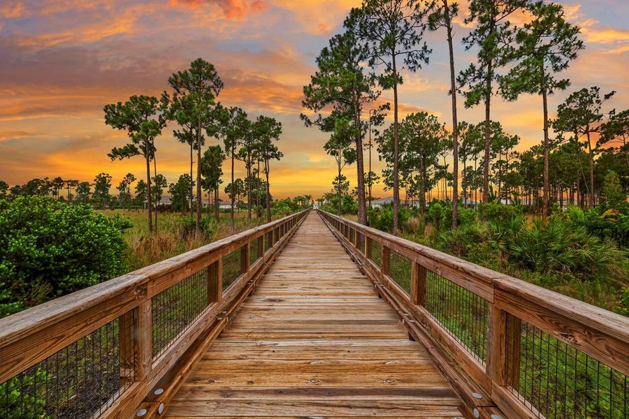 Bridge and Walking Path