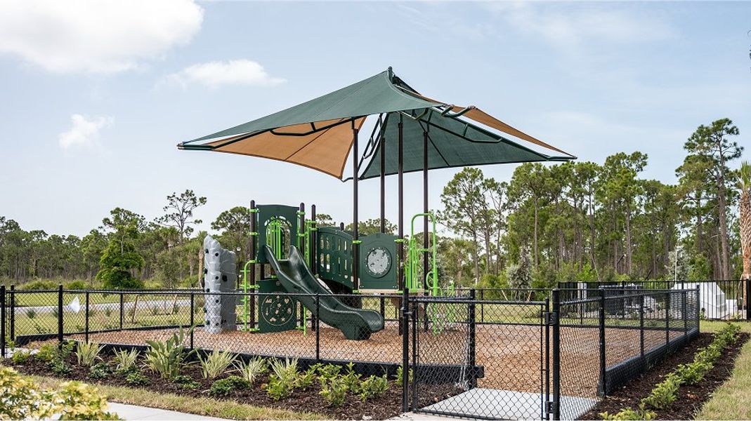 Coco Bay Amenity Playground 3of5