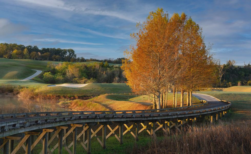 Natural surroundings and green spaces near IronCrest in Ocala, FL (Image 20).