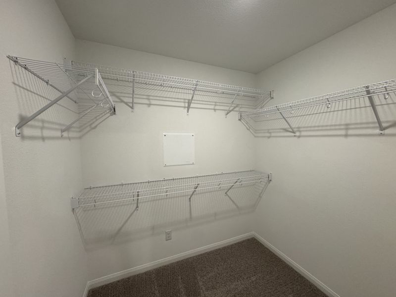 A spacious walk-in closet with white wire shelving and plush carpeting, perfect for organized storage.