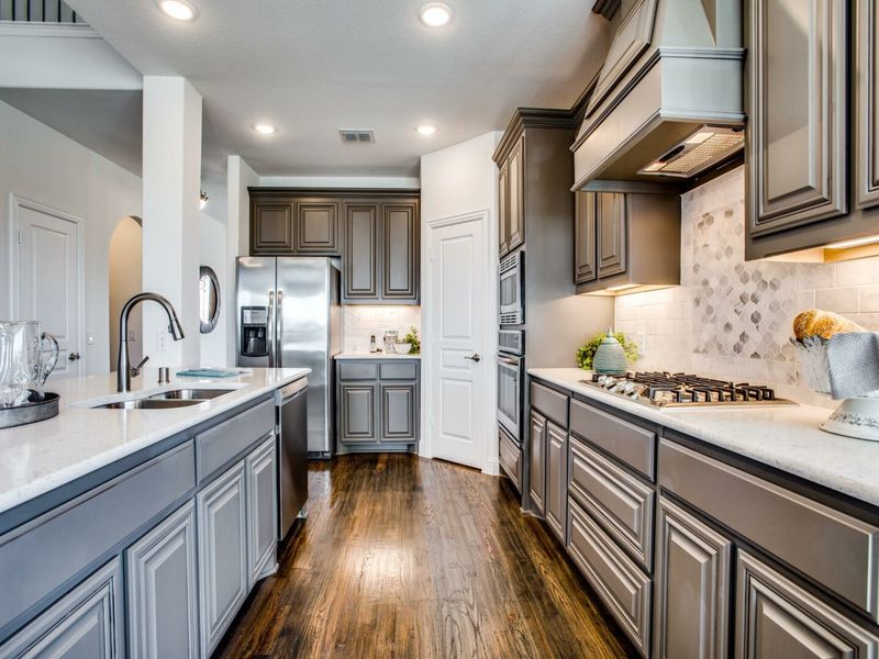 Image 4 of the Thomas Trail community in Midlothian, TX.