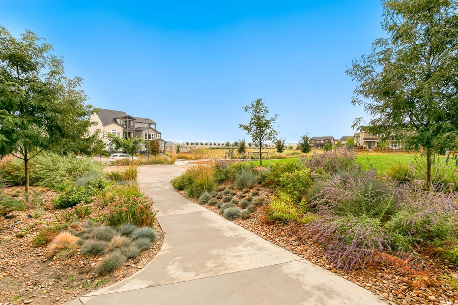 Image 7 of the Baseline Parkside West – Single-Family Homes community in Broomfield, CO.