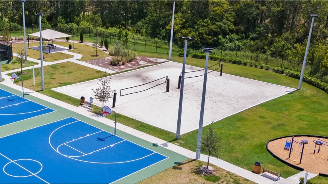 Volleyball court