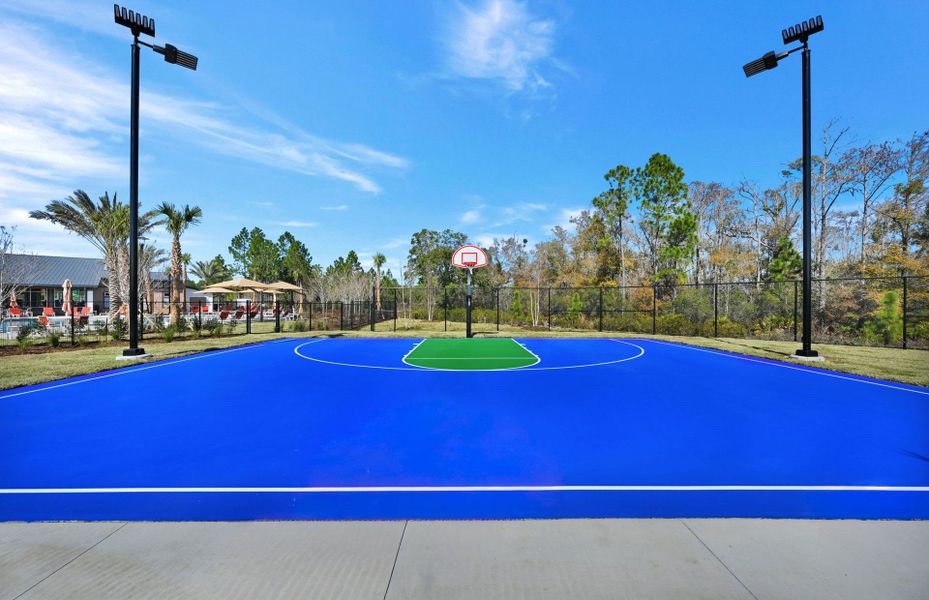 Basketball Court Basketball Court