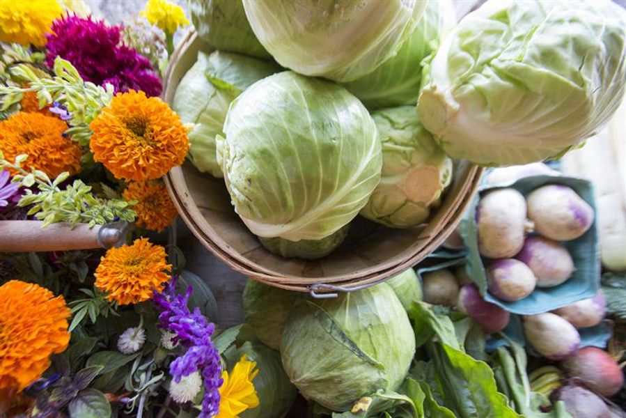 Image 12 of the Millwood Ranches community in Boiling Springs, SC.