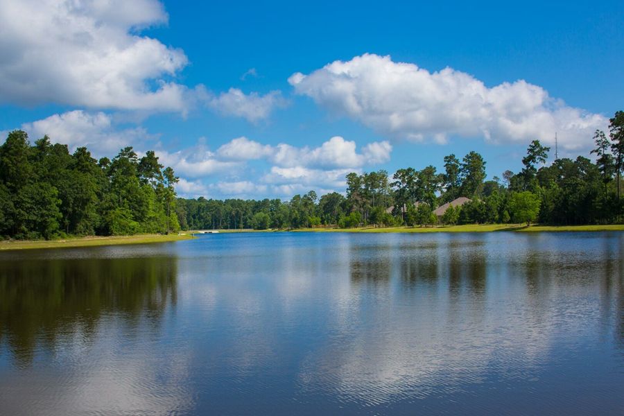 Image 9 of the Woodtrace 85' community in Pinehurst, TX. Image 9 of the Woodtrace 85' community in Pinehurst, TX.