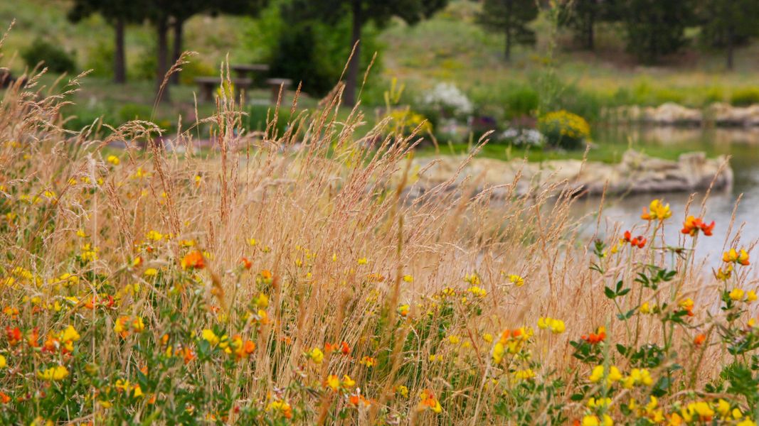 Natural surroundings and green spaces near The Summit at Castle Pines in Castle Pines, CO (Image 48).