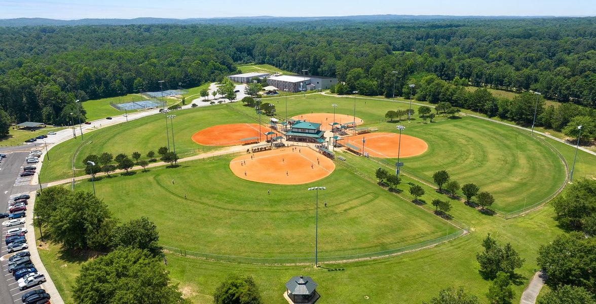 Iris Rowes Iris Rowes