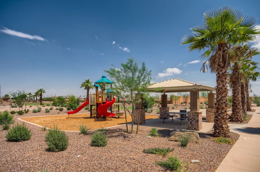 The Palms at Casa Vista Home