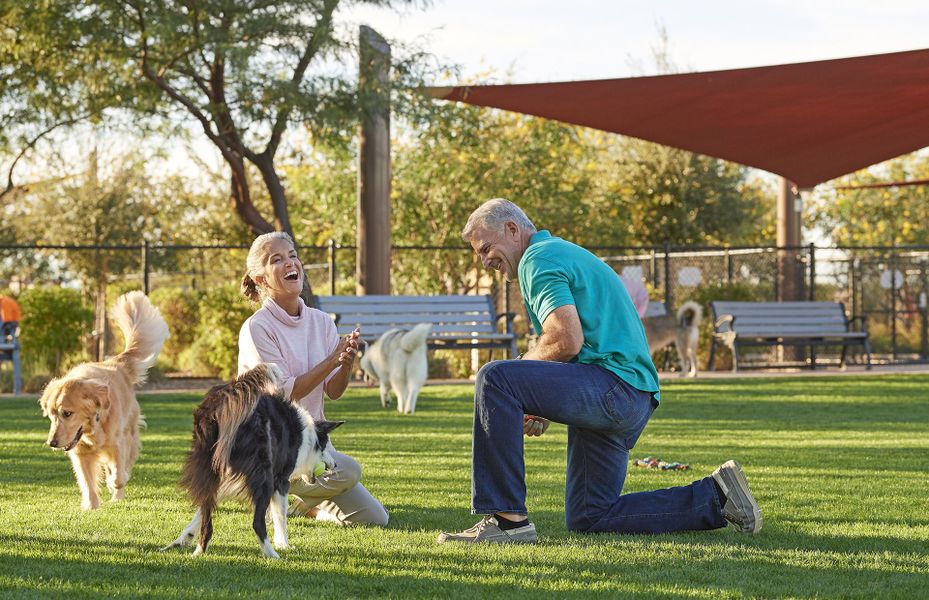 Community dog park