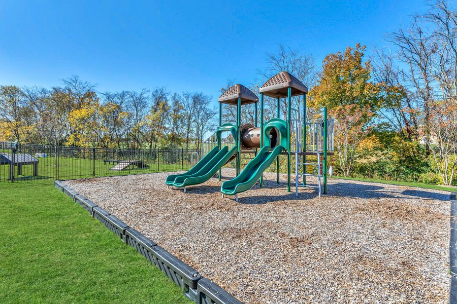 Community amenity available to residents of Anderson Park in Hendersonville (Image 23).