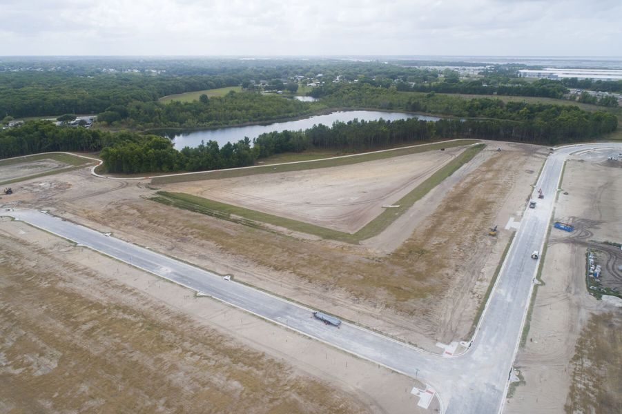 Streetscape Streetscape