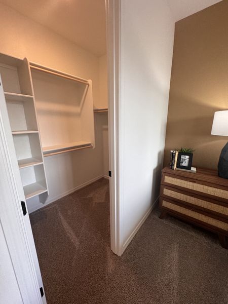 A spacious walk-in closet with white shelving and plush carpet, next to a tastefully decorated bedroom corner with a wooden dresser.