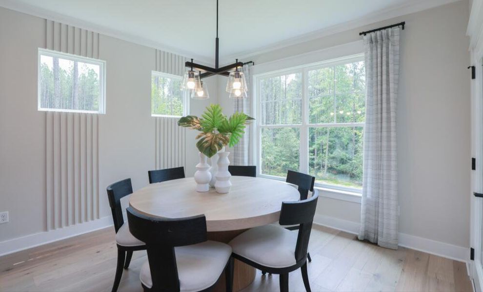 Furnished interior in a model home at Redland in Advance (Image 19).