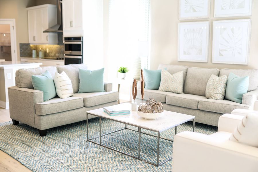 Dream Finders Homes:Living Room