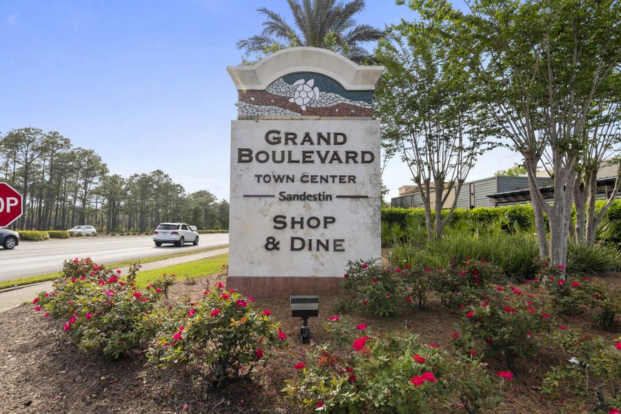 Image 40 of the Brizo community in Santa Rosa Beach, FL.
