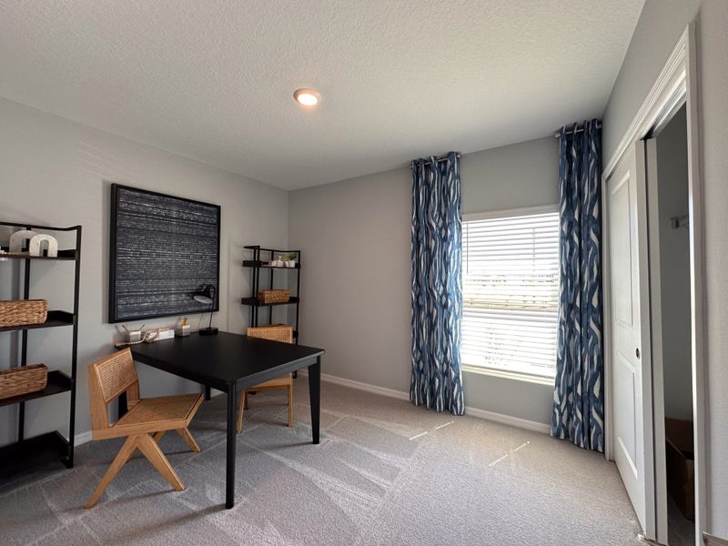 A modern office space features a sleek black desk, stylish shelves, and vibrant blue curtains for a cozy atmosphere.