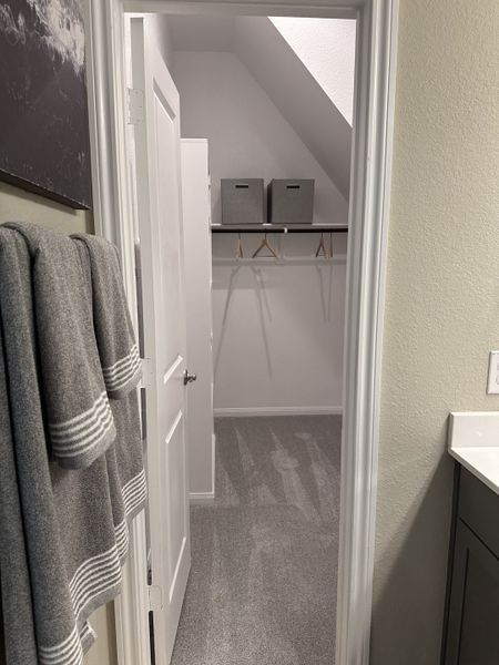 A cozy closet with grey carpet, storage bins, and hangers, viewed from a room with matching towels and minimalist decor. A cozy closet with grey carpet, storage bins, and hangers, viewed from a room with matching towels and minimalist decor.
