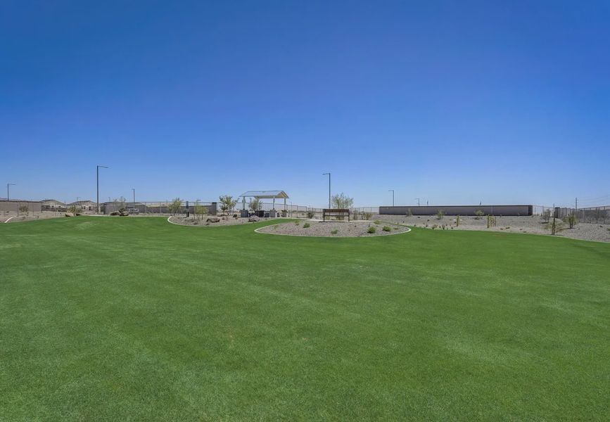 Natural surroundings and green spaces near Agave Trails in Buckeye, AZ (Image 38). Natural surroundings and green spaces near Agave Trails in Buckeye, AZ (Image 38).
