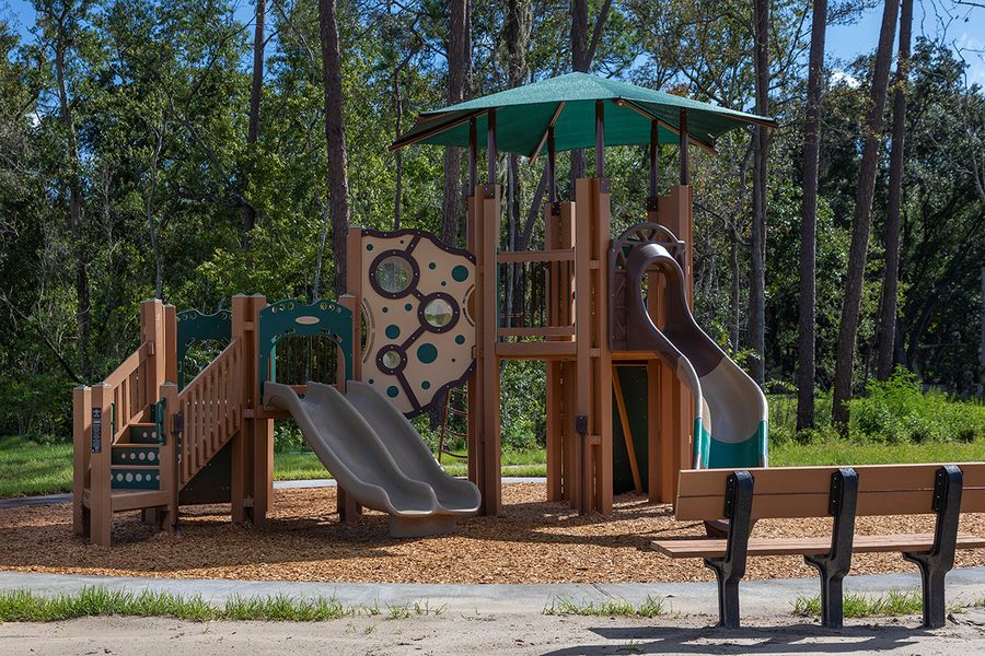 Image 5 of the Preservation Pointe community in Davenport, FL. Image 5 of the Preservation Pointe community in Davenport, FL.