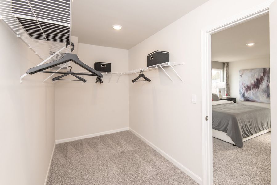 The master bedroom features a spacious walk-in closet.