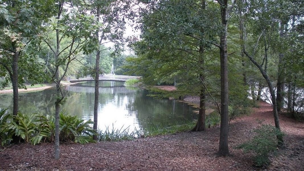 Image 11 of the The Woodlands, The VUE at East Shore - Darling community in Walnut Springs, TX.