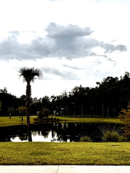 Scenic pond view with lush greenery in RiverTown - Vista by Mattamy Homes, St. Johns, FL. Scenic pond view with lush greenery in RiverTown - Vista by Mattamy Homes, St. Johns, FL.