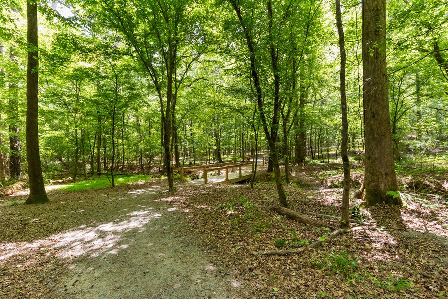 Natural surroundings and green spaces near Maple Grove at Towne Lake in Woodstock, GA (Image 30).